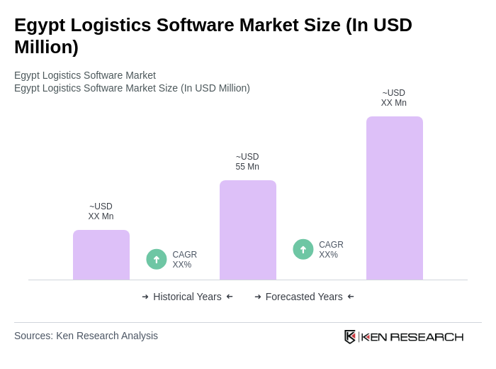 Egypt Logistics Software Market Size Egypt Logistics Software Market Size